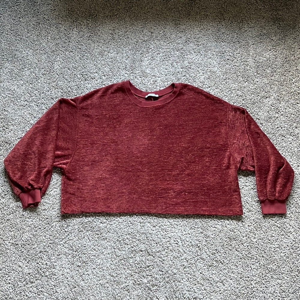 Zara Cropped Sweatshirt